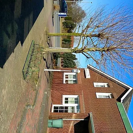 Rotbuche Hotel