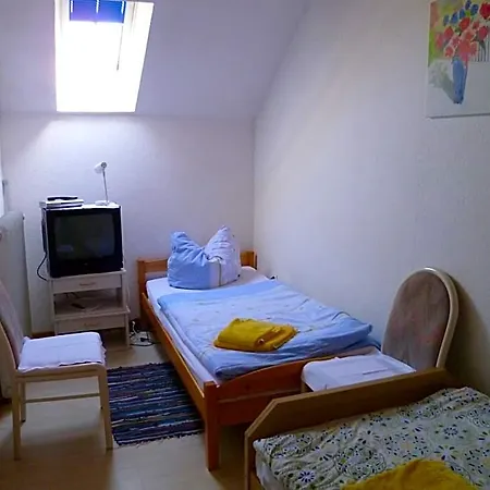 Rotbuche Westoverledingen