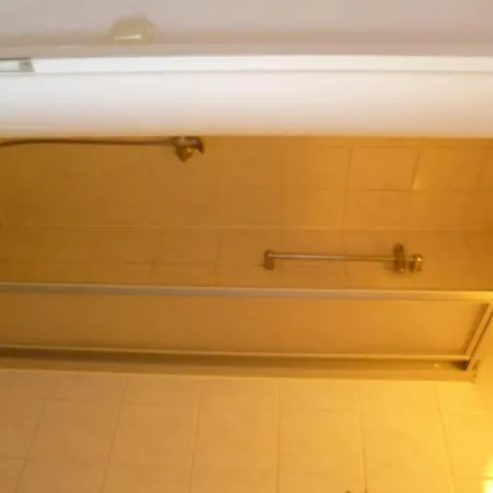 Rotbuche 2* Westoverledingen