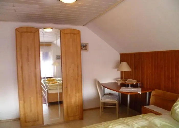 Rotbuche 2* Westoverledingen