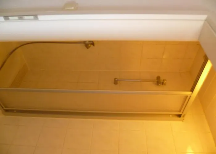 Rotbuche 2* Westoverledingen