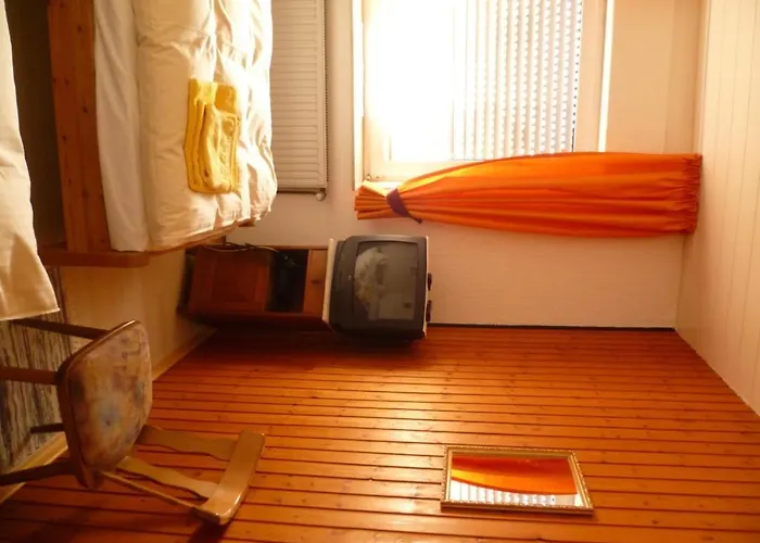 Rotbuche Westoverledingen