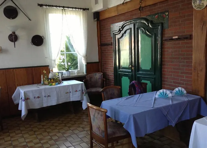 Rotbuche Westoverledingen